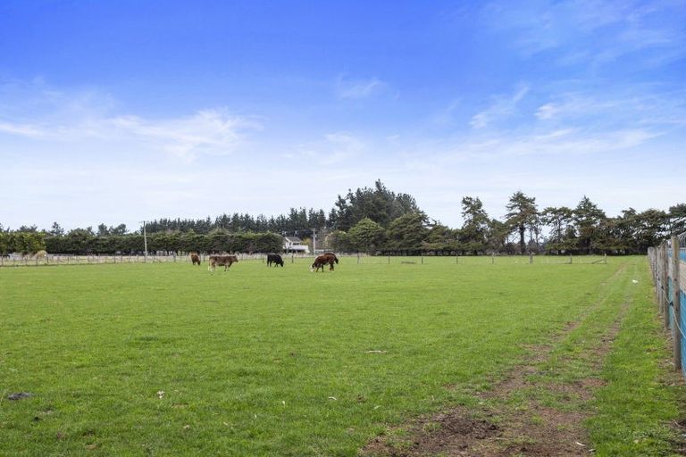 Photo of property in 176 Amberley Beach Road, Amberley, 7481