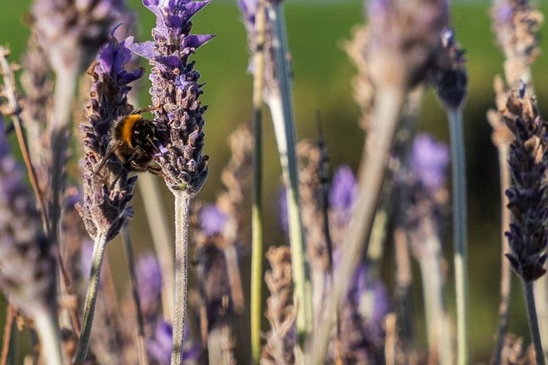 Photo of property in 51 Paul Faith Lane, Te Horo, Otaki, 5581