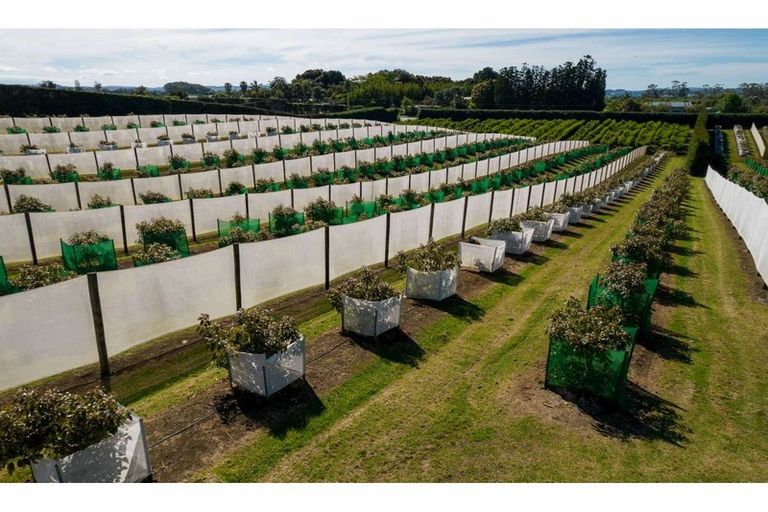 Photo of property in 581 Kerikeri Road, Kerikeri, 0293