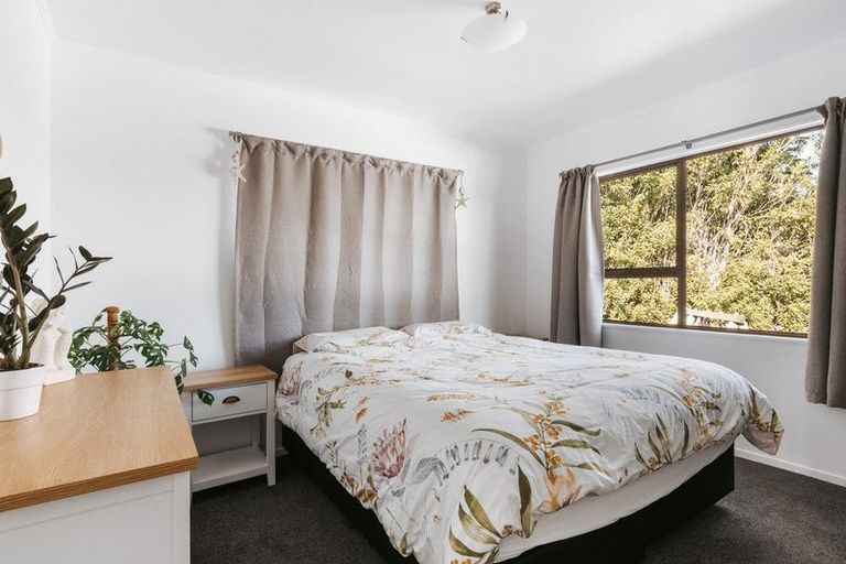 Photo of property in 55 Bongard Street, Gate Pa, Tauranga, 3112