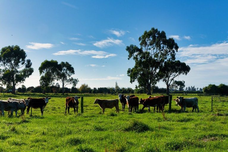 Photo of property in 386 Mount Fyffe Road, Kaikoura Flat, Kaikoura, 7371