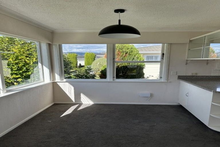 Photo of property in 20 Burn Street, Levin, 5510