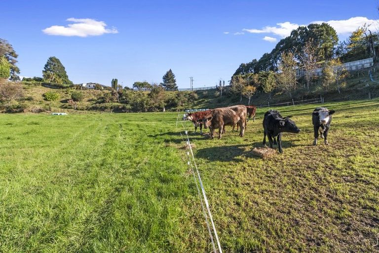 Photo of property in 491 Cambridge Road, Tauriko, Tauranga, 3110