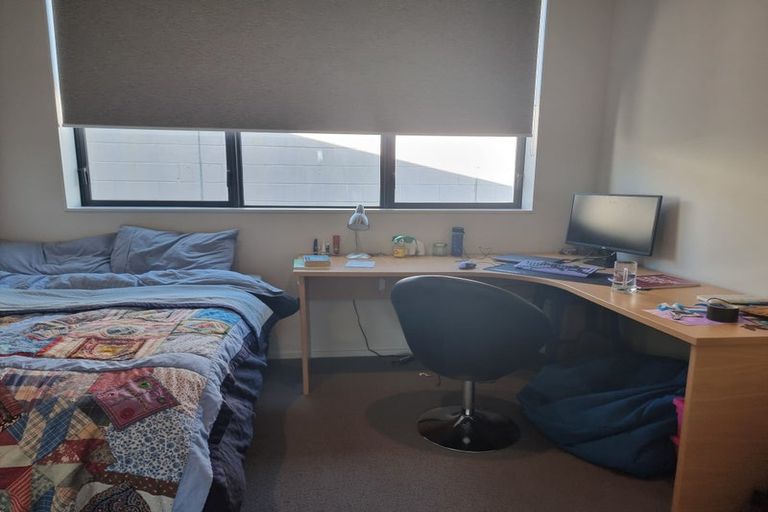 Photo of property in Aniva Terrace, 12 Arney Street, Newtown, Wellington, 6021