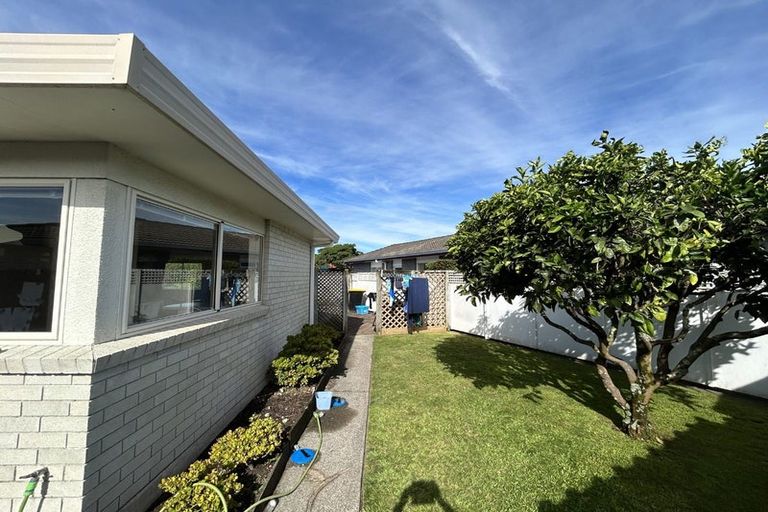 Photo of property in 20a Jasmine Place, Mount Maunganui, 3116