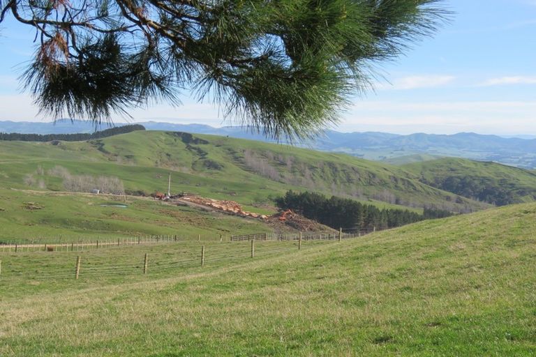 Photo of property in 668c Old Hill Road, Porangahau, 4291