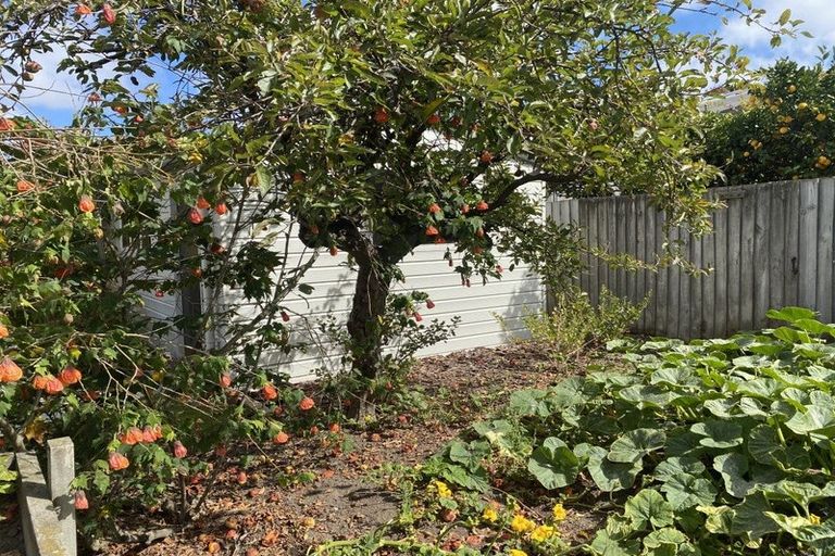 Photo of property in 101 Hoon Hay Road, Hoon Hay, Christchurch, 8025