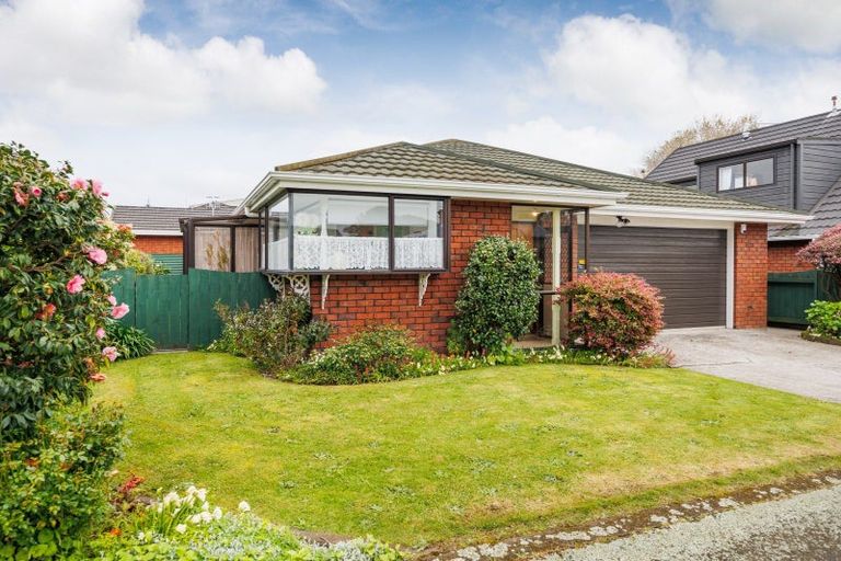 Photo of property in 15-17 Mcarthur Street, Terrace End, Palmerston North, 4410