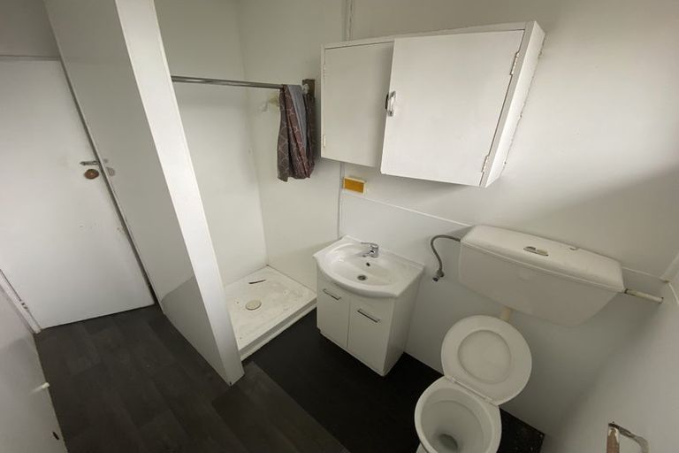 Photo of property in 59 Norton Road, Frankton, Hamilton, 3204