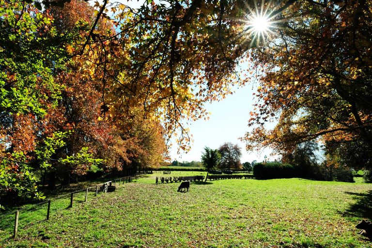 Photo of property in 64 Peacockes Lane, Peacocke, Hamilton, 3282