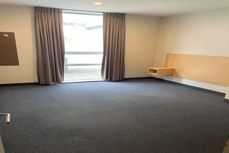 Photo of property in Hanson House, 27u2 Hanson Street, Mount Cook, Wellington, 6021