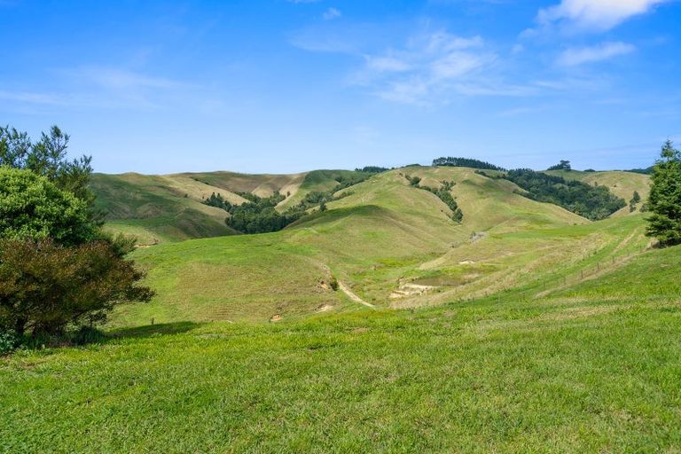 Photo of property in 917 Kairangi Road, Rotoorangi, Cambridge, 3495