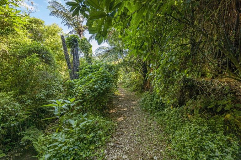 Photo of property in 77 Dorset Road, Hillsborough, New Plymouth, 4372