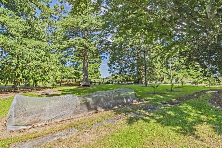 Photo of property in 428 Kowai Road, Springfield, 7681