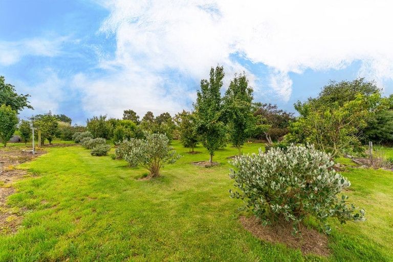 Photo of property in 20 Willowbridge Road, Waimate, 7980