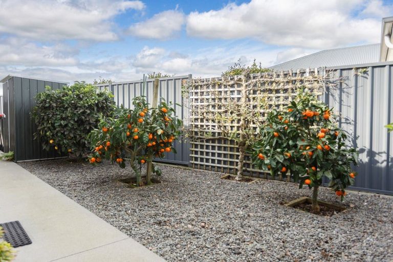 Photo of property in 17 Maple Place, Matamata, 3400
