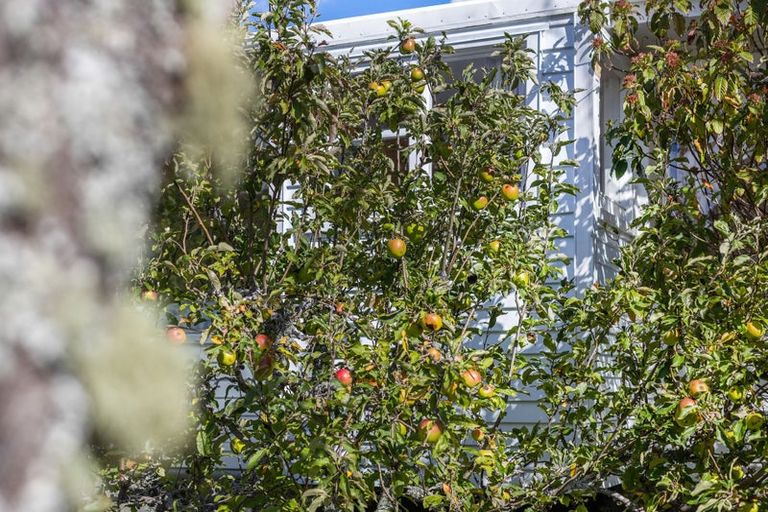 Photo of property in 22 Kaitawa Crescent, Paraparaumu, 5032