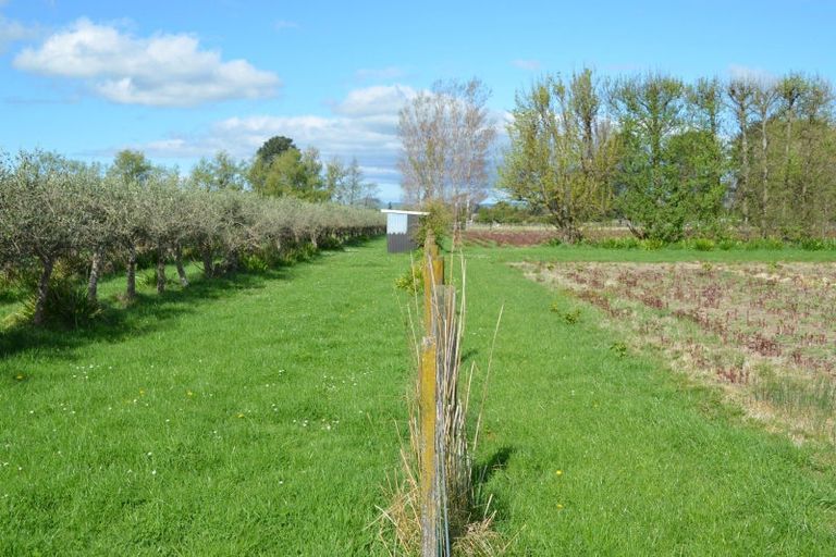 Photo of property in 83 Boundary Road, Upper Plain, Masterton, 5888