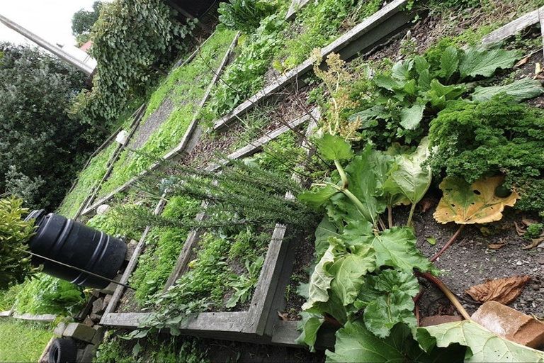 Photo of property in 41 Owen Road, Outer Kaiti, Gisborne, 4010