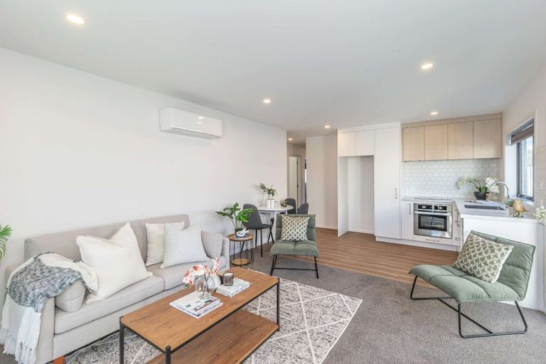 Photo of property in 30a Middlesex Street, Levin, 5510