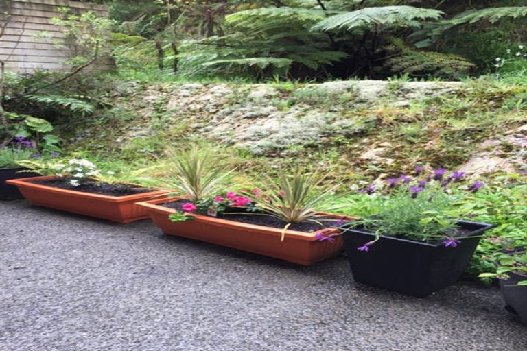 Photo of property in 53 Saddleback Grove, Karori, Wellington, 6012