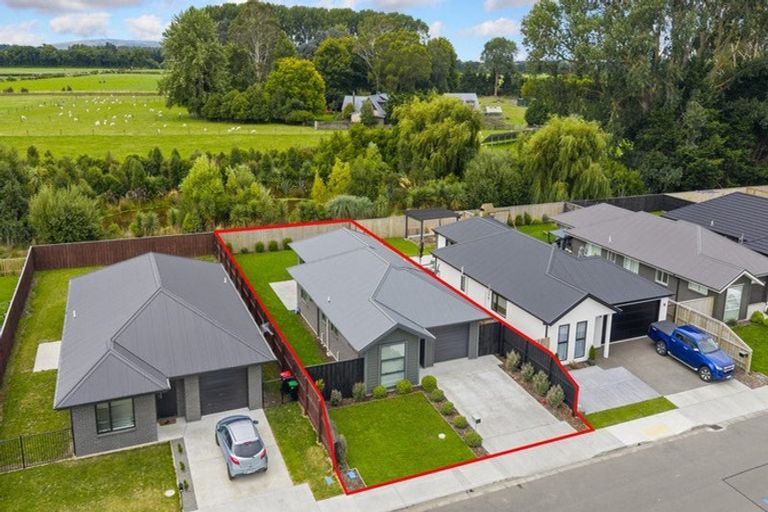 Photo of property in 55 Henshaw Street, Woodend, 7610