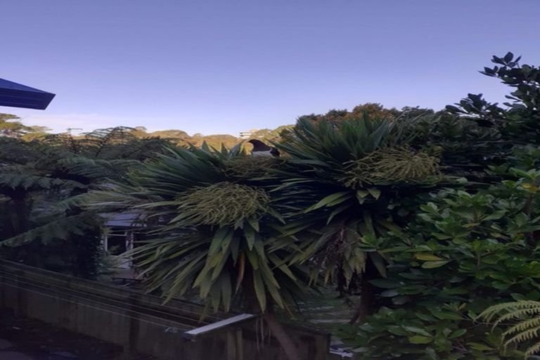 Photo of property in 2/85 Garden Road, Northland, Wellington, 6012