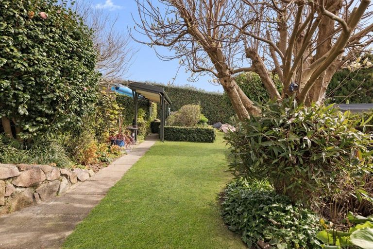 Photo of property in 15 Lloyd Street, Parkvale, Tauranga, 3112