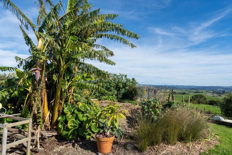 Photo of property in 1572 Ruapekapeka Road, Kawakawa, 0182