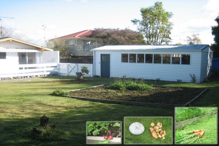 Photo of property in 29 East Grampian Street, Tokoroa, 3420