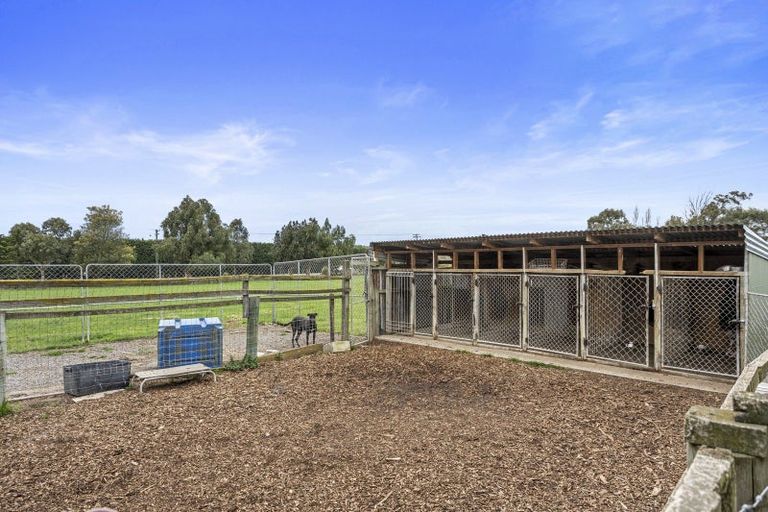 Photo of property in 176 Amberley Beach Road, Amberley, 7481