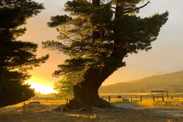 Photo of property in 1891 Fairlie Tekapo Road, Burkes Pass, Fairlie, 7987