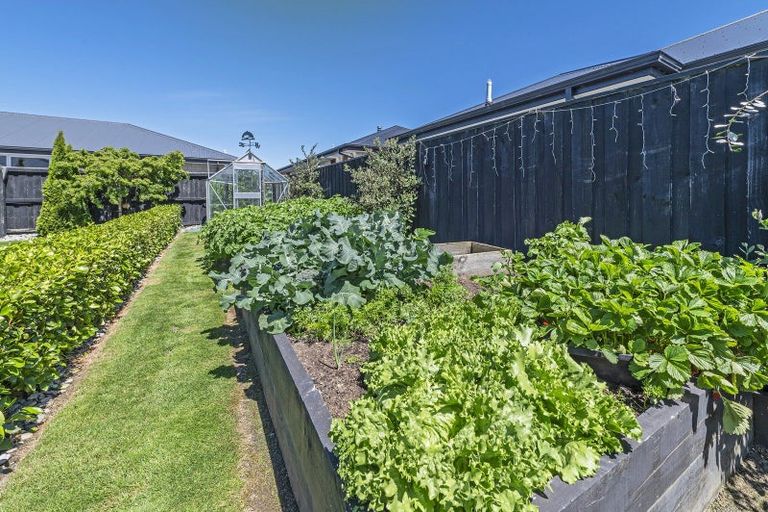 Photo of property in 43 Jean Archie Drive, Rolleston, 7614