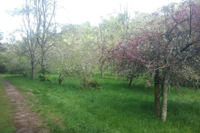 Photo of property in 88 Mark Road, Te Puke, 3188