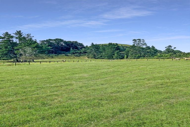 Photo of property in 820 Pahiatua Pongaroa Road, Pahiatua, 4982