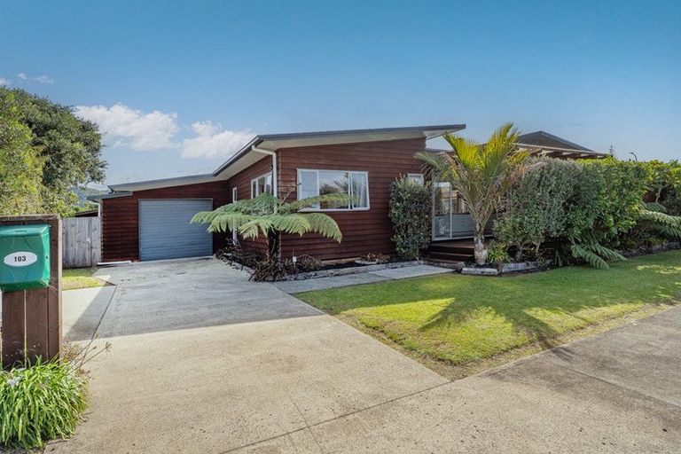 Photo of property in 103 Anarake Street, Whangapoua, Coromandel, 3582