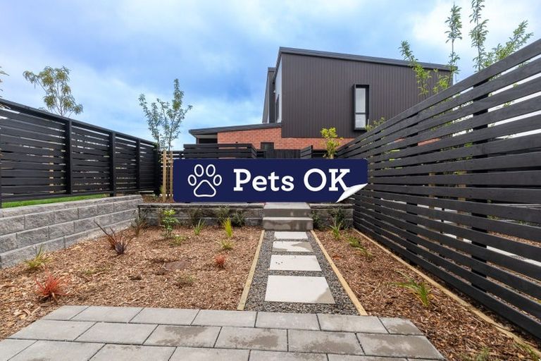 Photo of property in 47 Selo Street, Glen Eden, Auckland, 0602