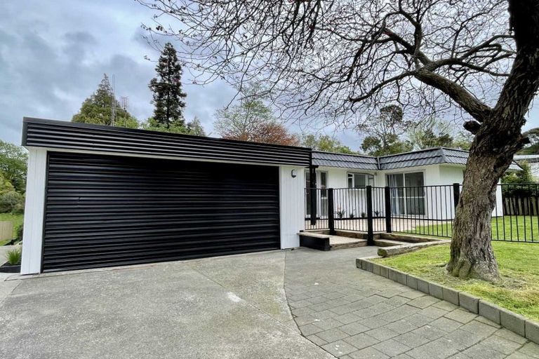 Photo of property in 40 Rothesay Place, Dinsdale, Hamilton, 3204