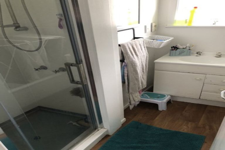 Photo of property in 86 Harrington Road, Henderson, Auckland, 0610