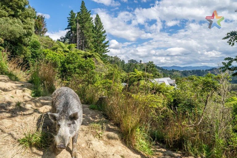 Photo of property in 1342b Akatarawa Road, Akatarawa, Upper Hutt, 5372