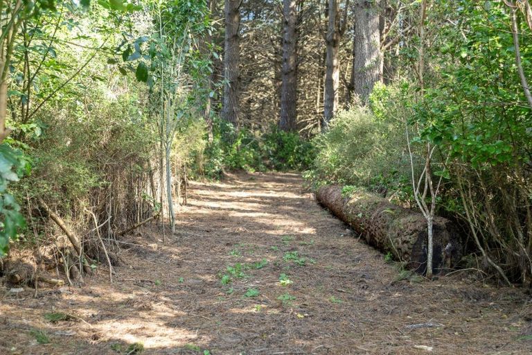 Photo of property in 11 Le Bons Bay Road, Le Bons Bay, 7583