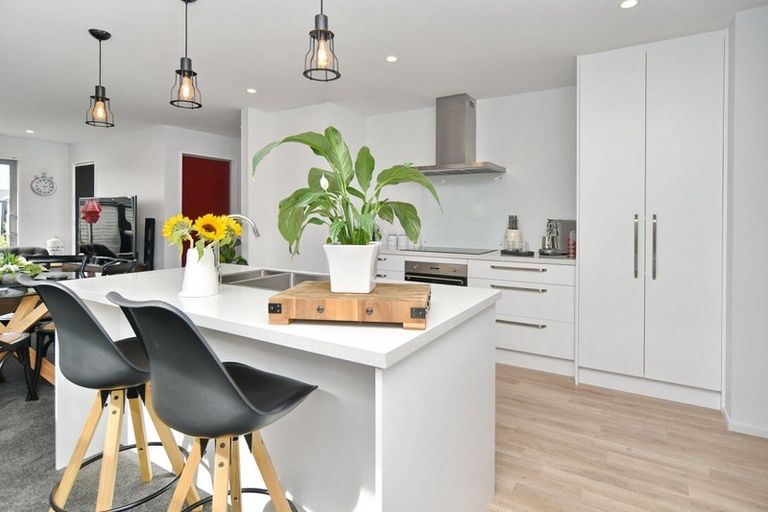 Photo of property in 17 Johnson Street, Kaiapoi, 7630