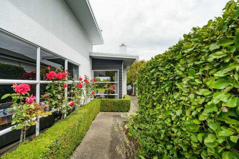 Photo of property in 19 Karina Terrace, Roslyn, Palmerston North, 4414