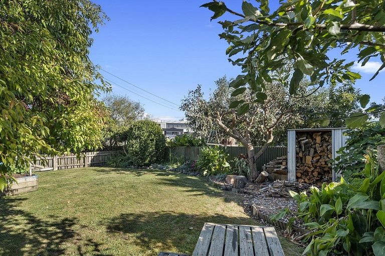 Photo of property in 101a Tawa Street, Melville, Hamilton, 3206