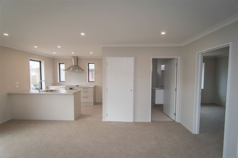 Photo of property in 24a Millpond Lane, Lincoln, 7608