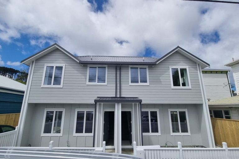 Photo of property in 101 Daniell Street, Newtown, Wellington, 6021