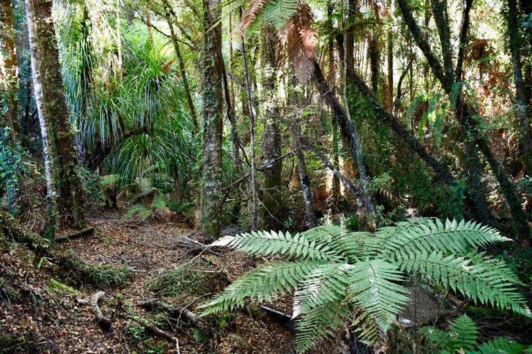 Photo of property in 70 Sunset Heights Road, Karamea, 7893