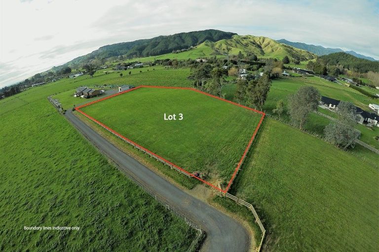 Photo of property in 431 Tararua Road, Levin, 5571
