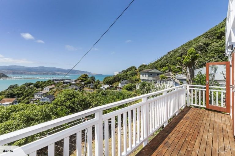 Photo of property in 49 Hungerford Road, Lyall Bay, Wellington, 6022