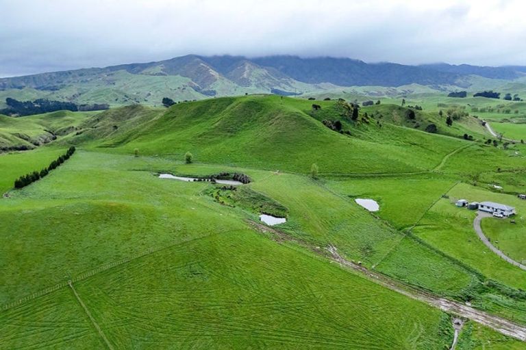 Photo of property in 437 Pinfold Road, Papatawa, 4998